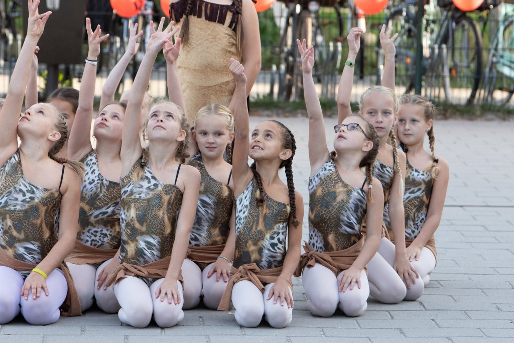 Schoolplein Festival A128.jpg